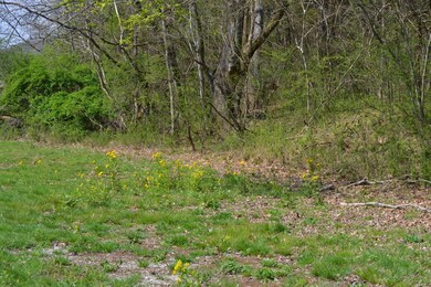 151 Oak Ln, Pulaski, TN 38478 - photo 2