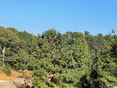 0 Howells Cove Rd unit 21433059, Talladega, AL 35160 - photo 2