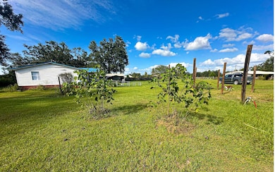 21198 174th St, Live Oak, FL 32060 - photo 3
