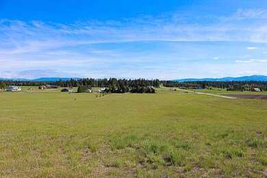 NHN Blackmer Ln, Columbia Falls, MT 59912 - photo 7