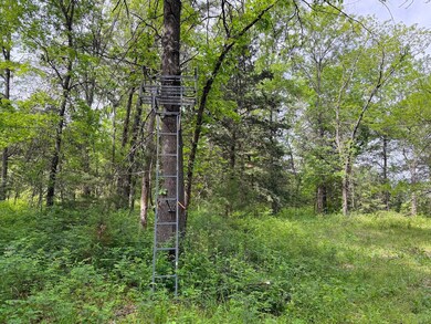 S Rd, Richards, MO 64778 - photo 7