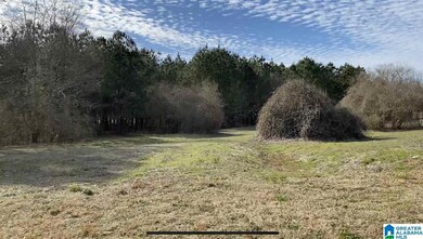 Lot 7 County Road 70, Thorsby, AL 35171 - photo 4