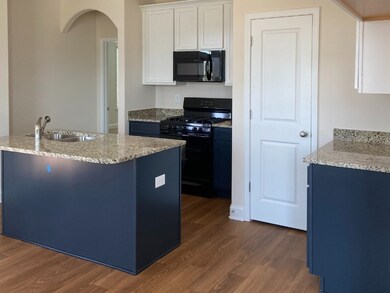 169 Capslock Trail unit Jordan Plan, Pendleton, SC 29670 - photo 4