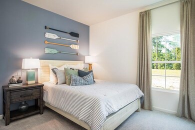 265 Firewheel Ct, Summerville, SC 29486 - photo 4