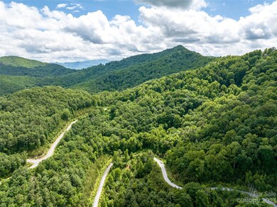 64 Mountain Magnolia Dr unit 51, Leicester, NC 28748 - photo 6