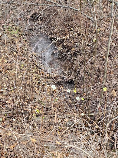 22255 Wallace Creek Rd, Clinton, MT 59825 - photo 3