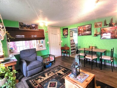 416 S 10th St, Cottage Grove, OR 97424 - photo 5