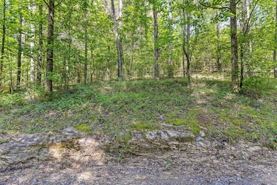 Tract 2 Conniston Rd, Chatsworth, GA 30705 - photo 2