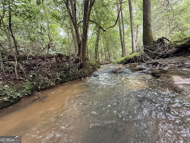 2004 Christian Rd, Dewy Rose, GA 30634 - photo 6