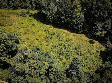 TBD Long Run Rd, Belington, WV 26591 - photo 6