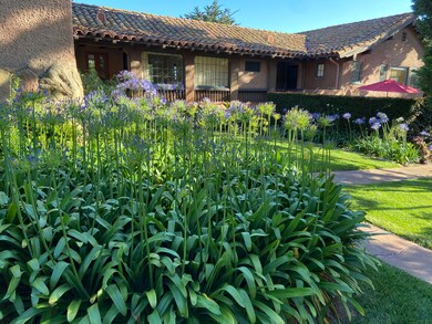 View from Garden