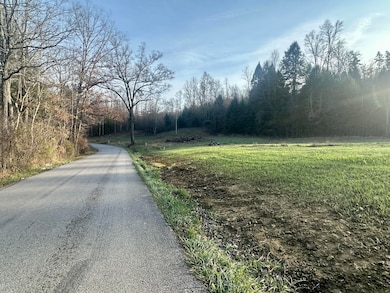 Lot 9 Hensley Rd, East Bernstadt, KY 40729 - photo 4