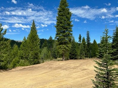 37 Challis Ln unit 13, Cascade, ID 83611 - photo 3