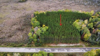 ON Cth B unit Lot 3, Antigo, WI 54424 - photo 2