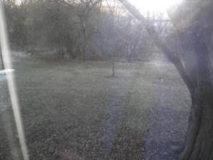QUADCITIES4169087B