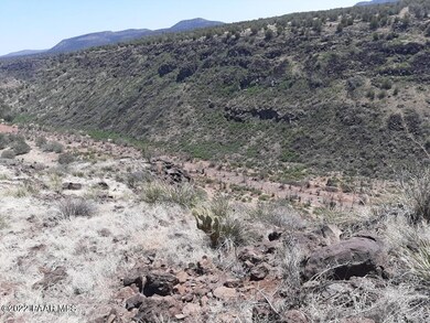 118 Juniperwood Ranch, Ash Fork, AZ 86320 - photo 5