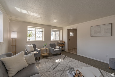 Living room featuring baseboards, a textured ceiling, ornamental molding, and carpet flooring