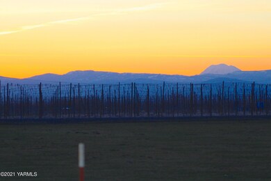 IMG_1017