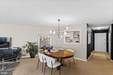 The Ridgely Condominiums, Towson, MD 21286 - photo 4