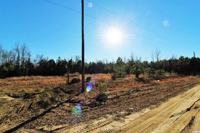 TBD W Highway 78, Conway, SC 29527 - photo 4