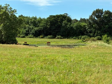 22665 State Highway 83, Weaubleau, MO 65774 - photo 6