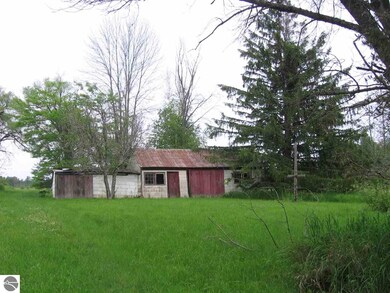 8030 Curtis Rd, Hale, MI 48739 - photo 6