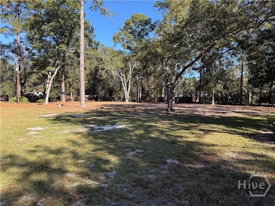 102 Winnai Ln, Guyton, GA 31312 - photo 5