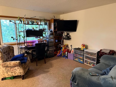 11309 Louisiana Ave N, Champlin, MN 55316 - photo 4