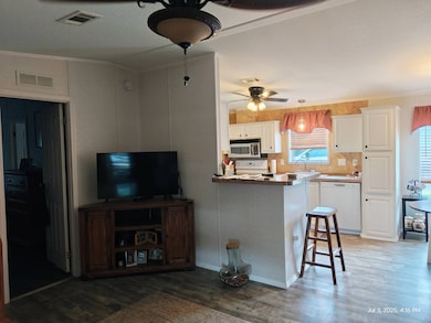 View from Living Room into Kitchen