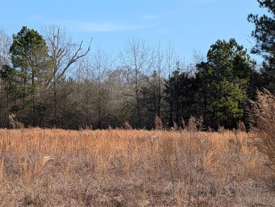 000 Mudline Rd, Eagletown, OK 74734 - photo 4