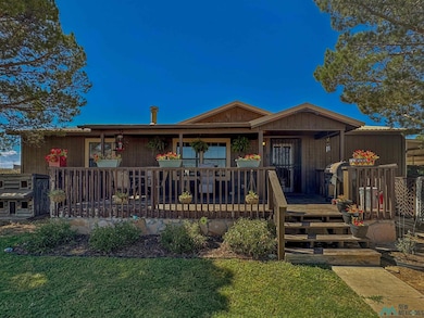 6306 Vest Rd, Carlsbad, NM 88220 - photo 5