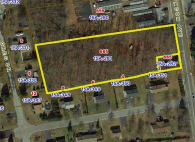 Aerial/GIS image showing the entire property, lots