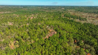 0 Twin Forks Rd unit 25651129, Statesboro, GA 30458 - photo 3