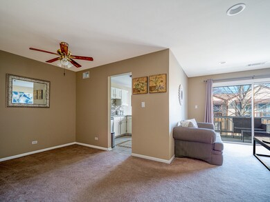 2147 Lancaster Cir unit 202D, Naperville, IL 60565 - photo 5
