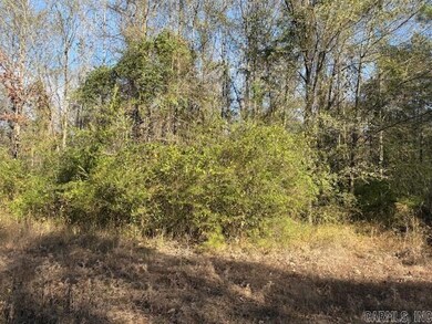 0 Hempstead 148 Rd, Hope, AR 71801 - photo 7