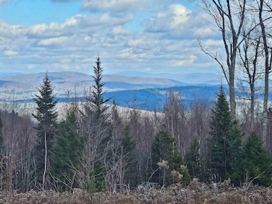 706 Vt Route 100, Stratton, VT 05360 - photo 3