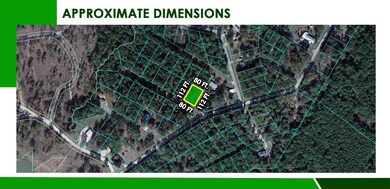 Moon Mist Ct, Trinity, TX 75862 - photo 6