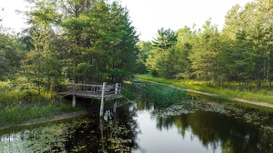 404 Barry Dr, Alger, MI 48610 - photo 6