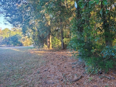 TBD County Road 36, Hartford, AL 36344 - photo 3