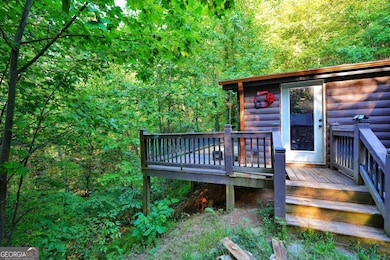 192 Bushy Head Rd, Cherry Log, GA 30522 - photo 3