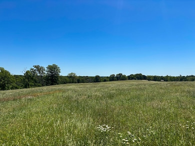 Tbd U S 160, Theodosia, MO 65761 - photo 3