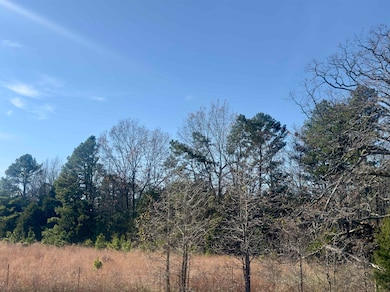 1442 Arkansas 69, Sage, AR 72573 - photo 7