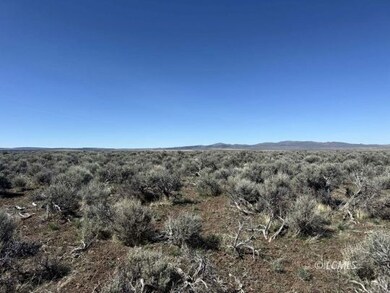 10 Acres Plush