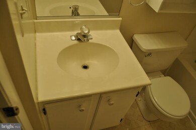 807 Joshua Tree Ct, Owings Mills, MD 21117 - photo 5