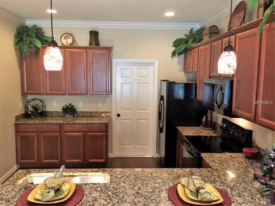 12309 NE 48th Loop, Oxford, FL 34484 - photo 4