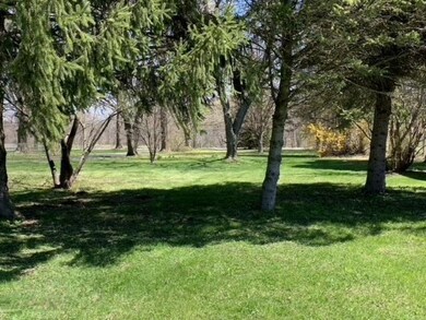 beauitful yard