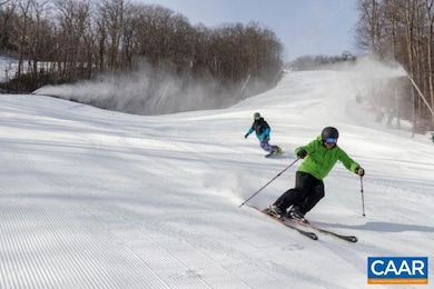 25 Stony Cove Ln, Roseland, VA 22967 - photo 6