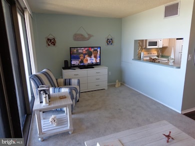 808 Chesapeake House Rd, Bethany Beach, DE 19930 - photo 4