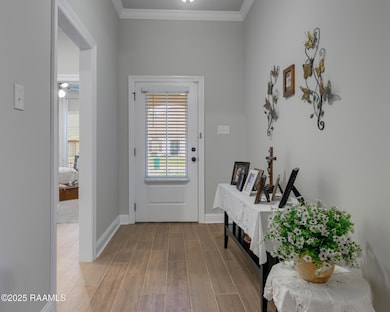 123 Sparrowhawk St, Broussard, LA 70518 - photo 4