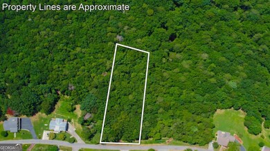 Lot 36 Talona Mountain Rd unit 34, Ellijay, GA 30536 - photo 2